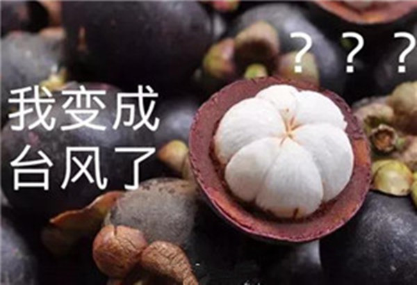 “山竹”还未走远，但Milanosport
全自动弯线机已正常上班啦！