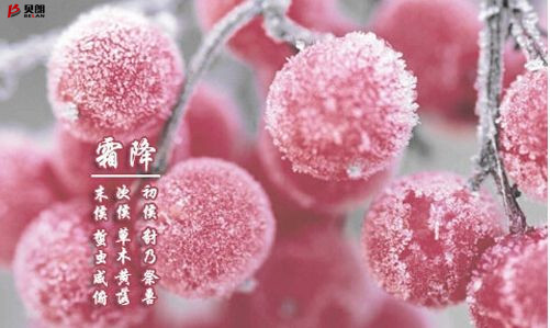 Milanosport
自动化设备——霜降