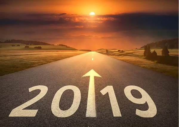 2019年图