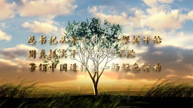观看微视 频《众人植树树成林》——观后感