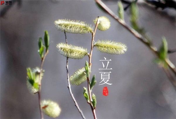 二十四节气立夏，那些您不知道的习俗