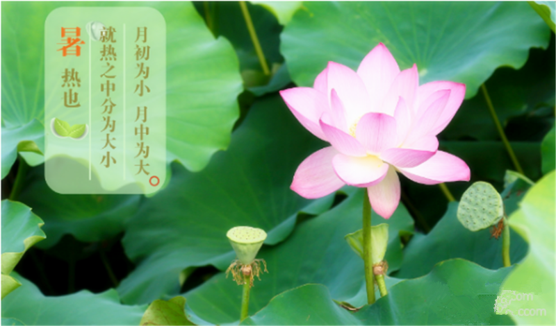 暑臻三伏醉难熬，拭汗挥巾似雨飘——铁丝成型机