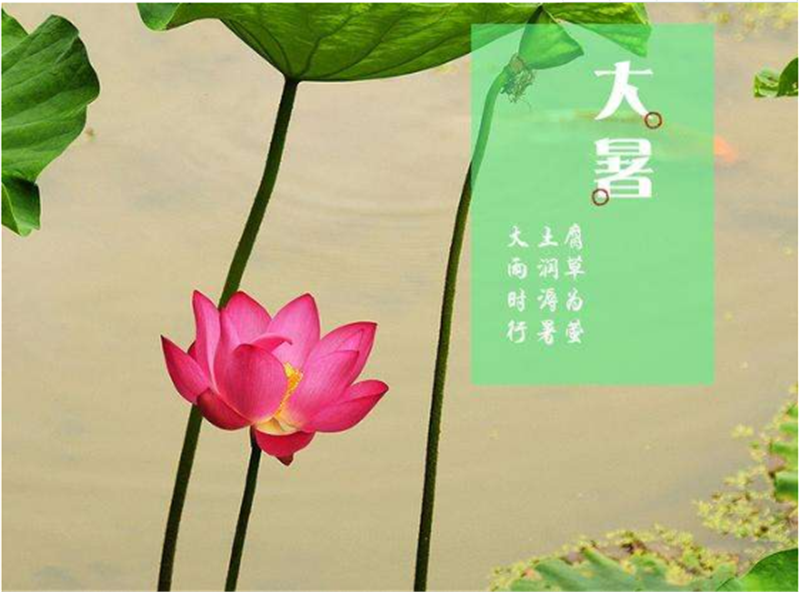 二十四节气——大暑