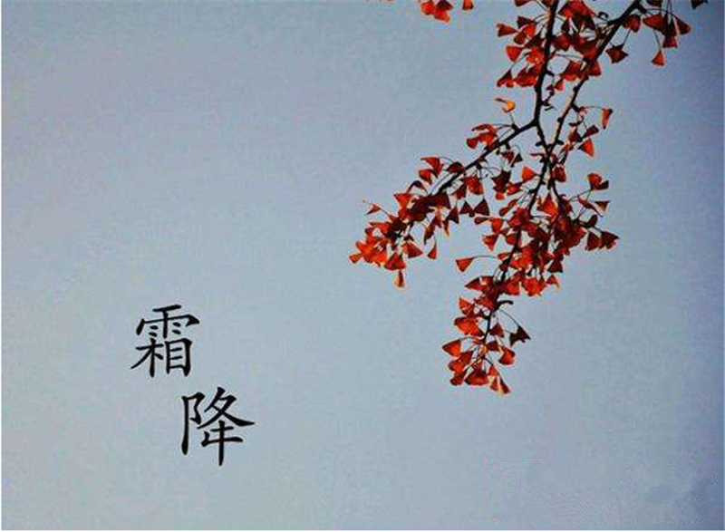 霜降——转载网络图片