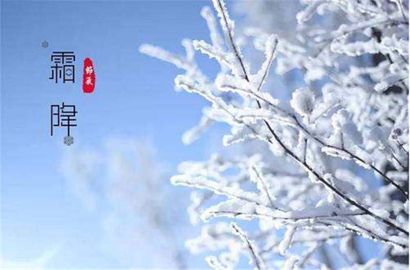 霜降——转载网络图片