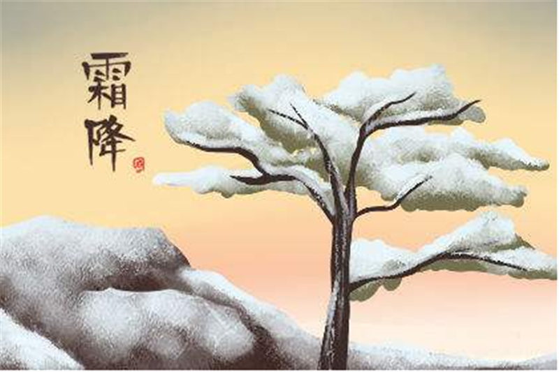 霜降——转载网络图片