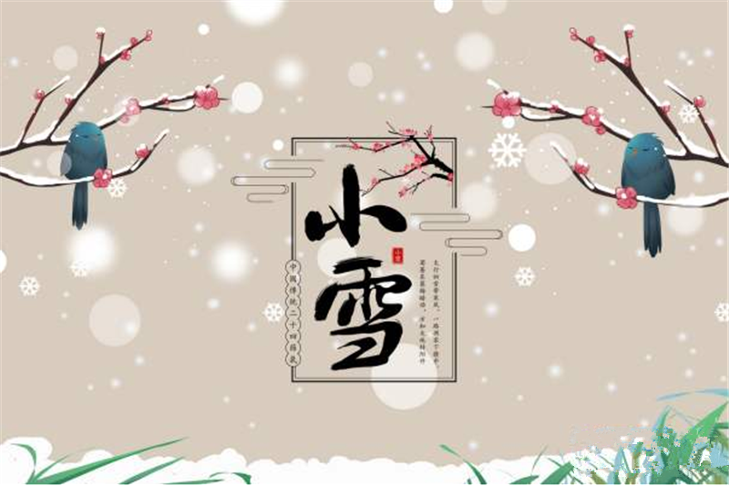 二十四节气——小雪