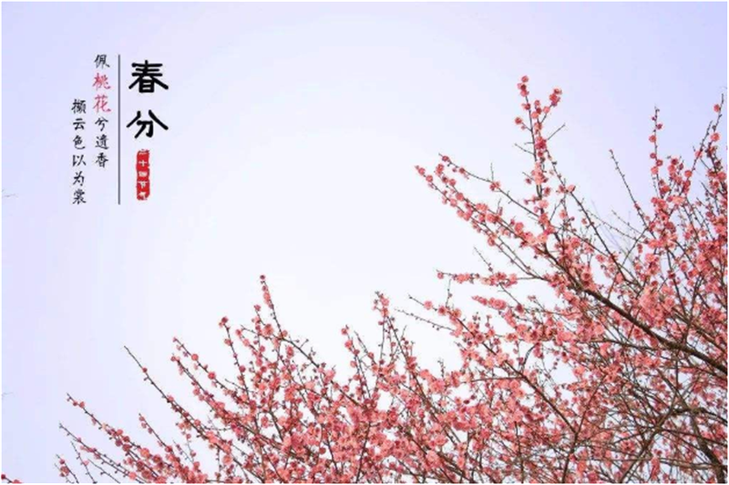 何为二十四节气“春分”Milanosport
线材自动成型机小编带您了解