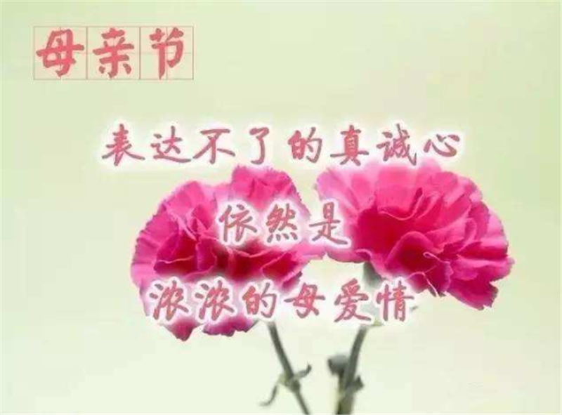 母亲节——转载网络图片