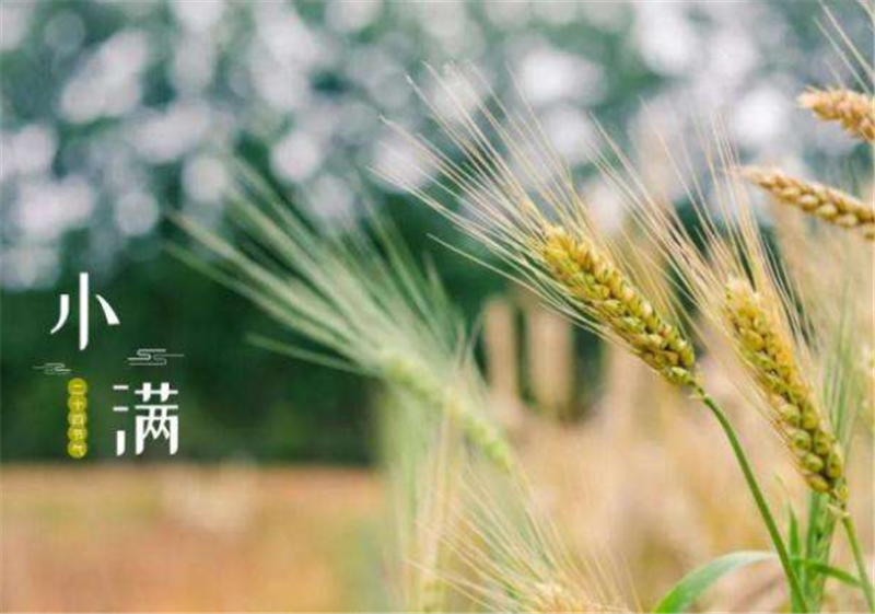 二十四节气——小满