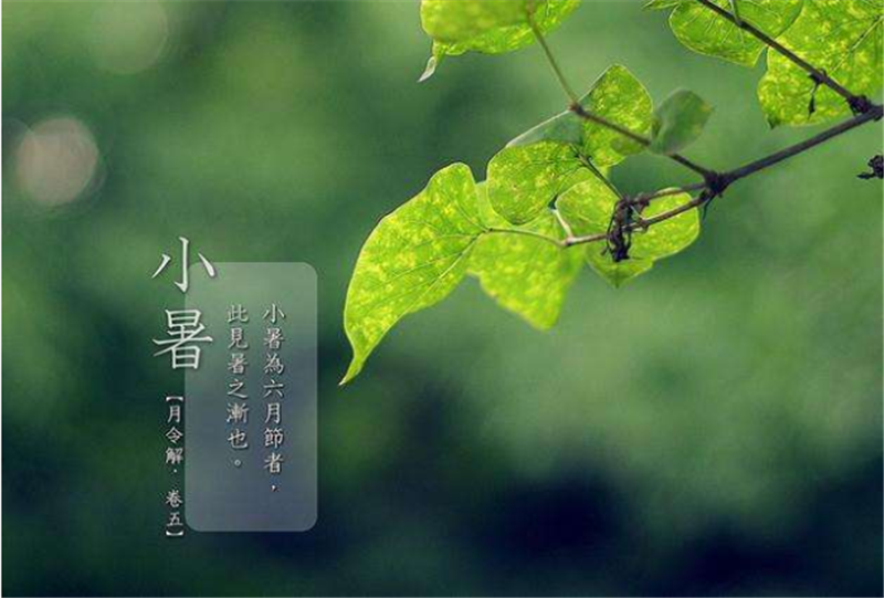 二十四节气——小暑