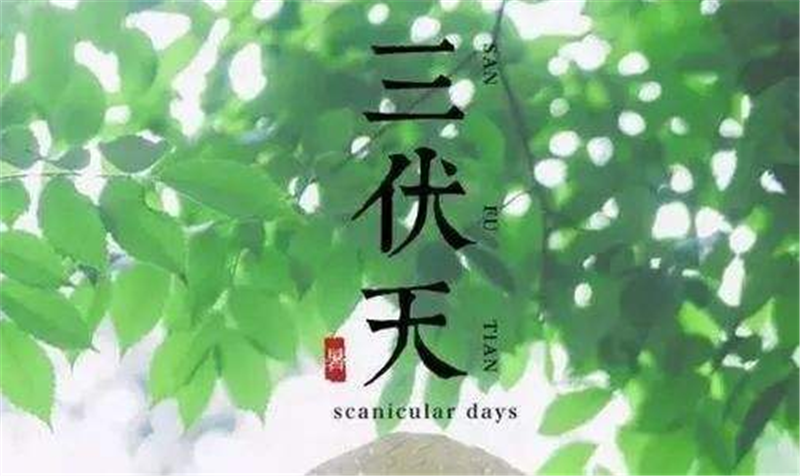 三伏天——转载网络图片