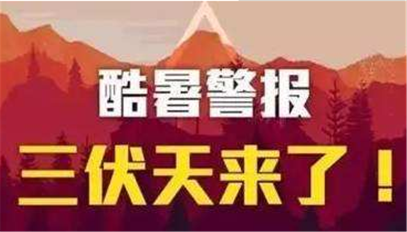 三伏已入，愿您安然度夏——Milanosport
高 效数控折弯机械