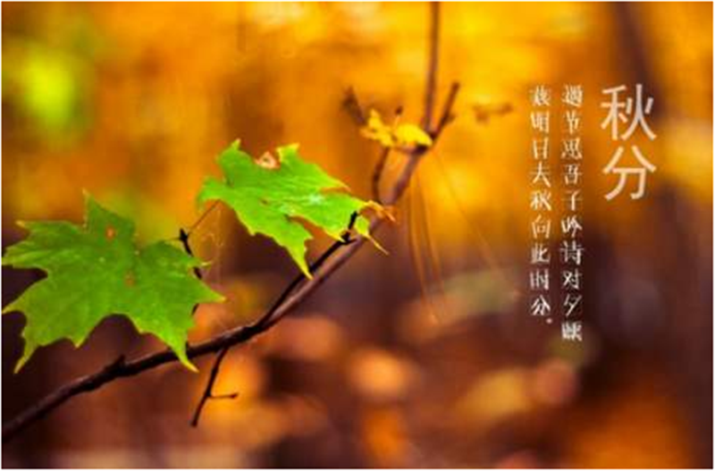 二十四节气——秋分