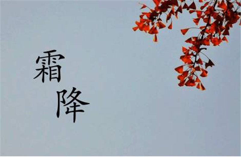 霜降——转载网络图片