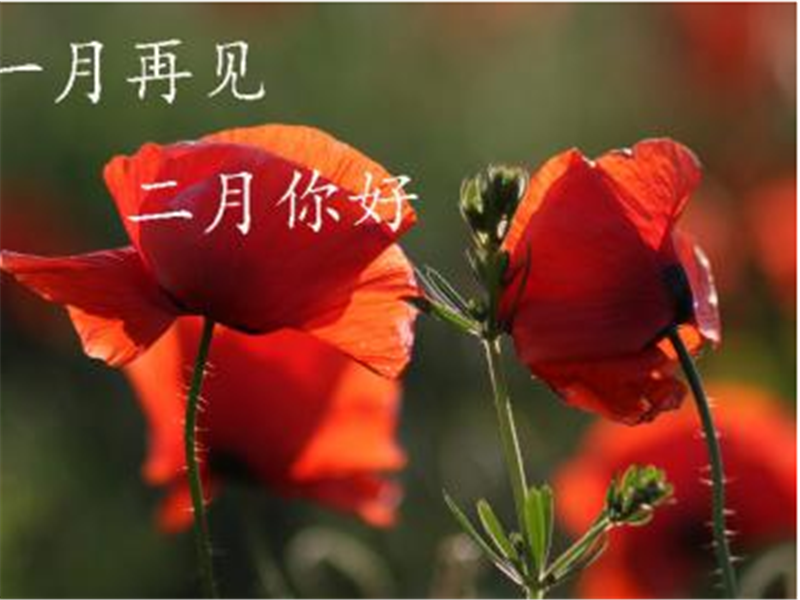 一月再见，美好的二月你好啊