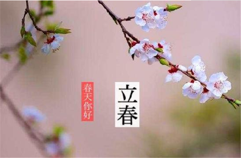 二十四节气——立春