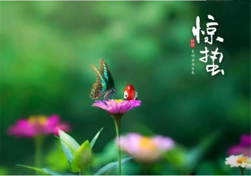 二十四节气“惊蜇”都有哪些习俗？