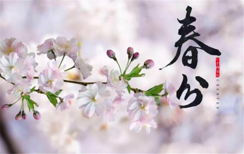 二十四节气——春分有哪些习俗？