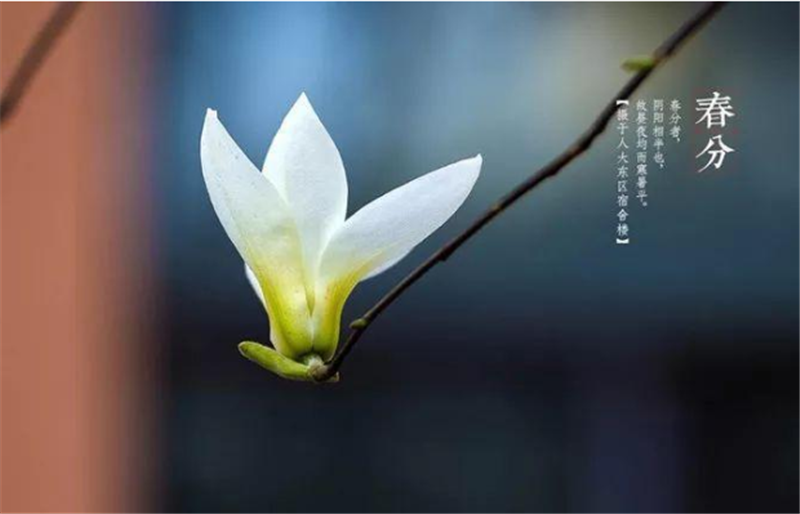 二十四节气——春分