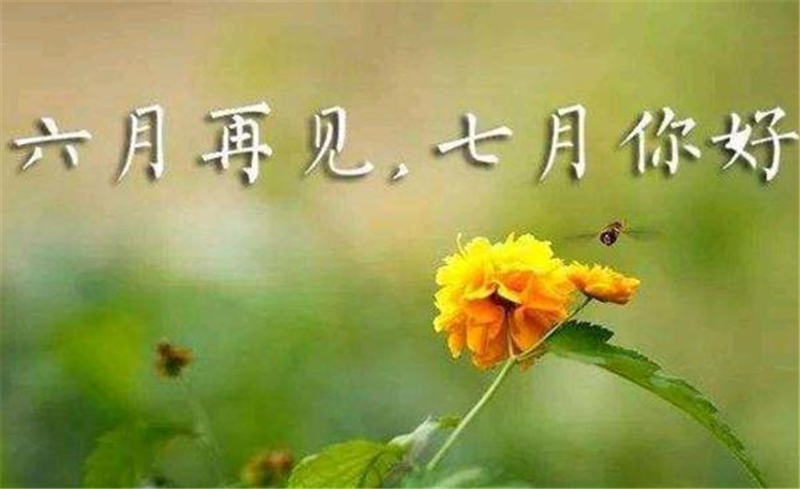 六月再见、7月你好